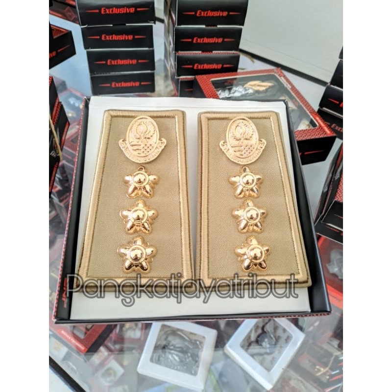 PANGKAT PDH ASN PEMPROV JABAR ASN GOLONGAN 4B