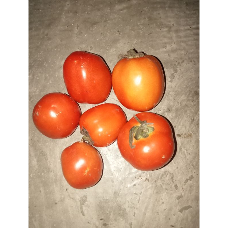 

tomatsambal