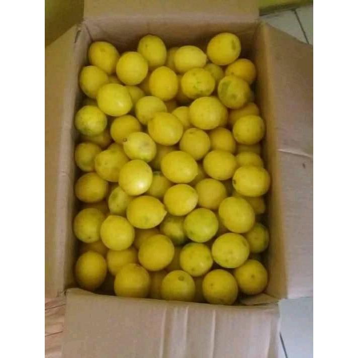 

JERUK LEMON CALIFORNIA 500 gram