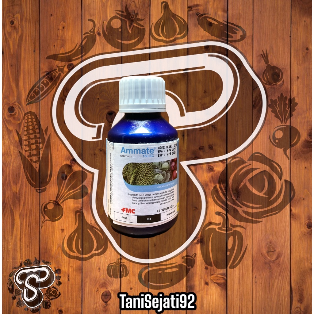 INSEKTISIDA AMMATE 100ML