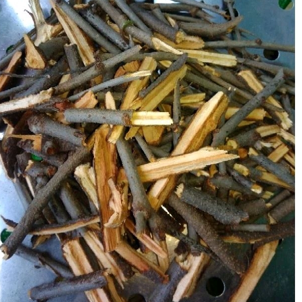 

Batang kering Benalu Jeruk Nipis Asli 100 Gram