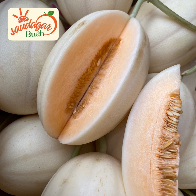 

AFGC BUAH MELON SWEET NET HOPONIK MANIS CRUNCHY