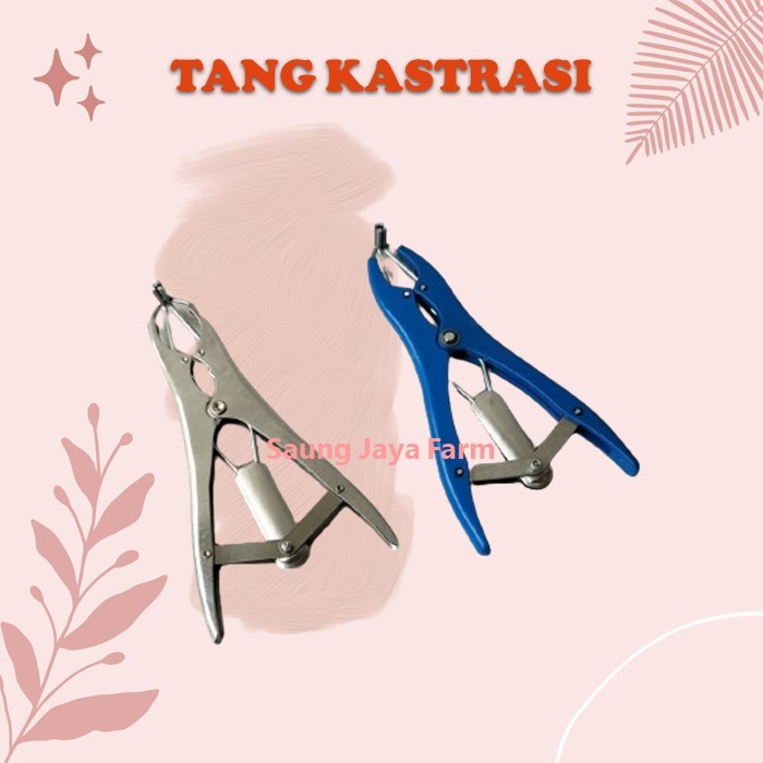 Tang Kastrasi Alat Kebiri Hewan Ternak Kambing Domba