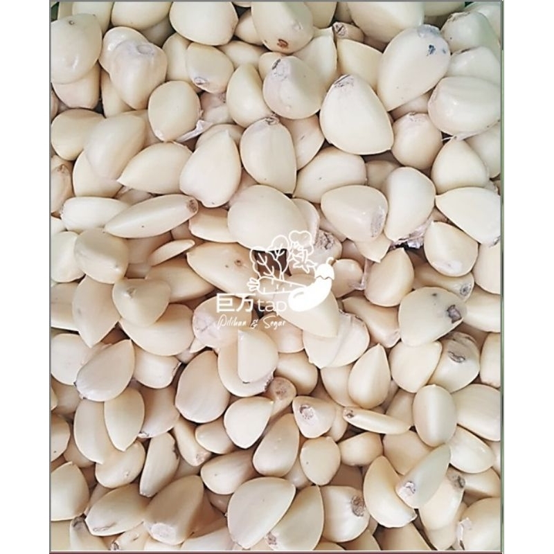 

BAWANG PUTIH KATING KUPAS SEGAR DAN HEMAT KYOMANTAP 100 GRAM - 500 GRAM