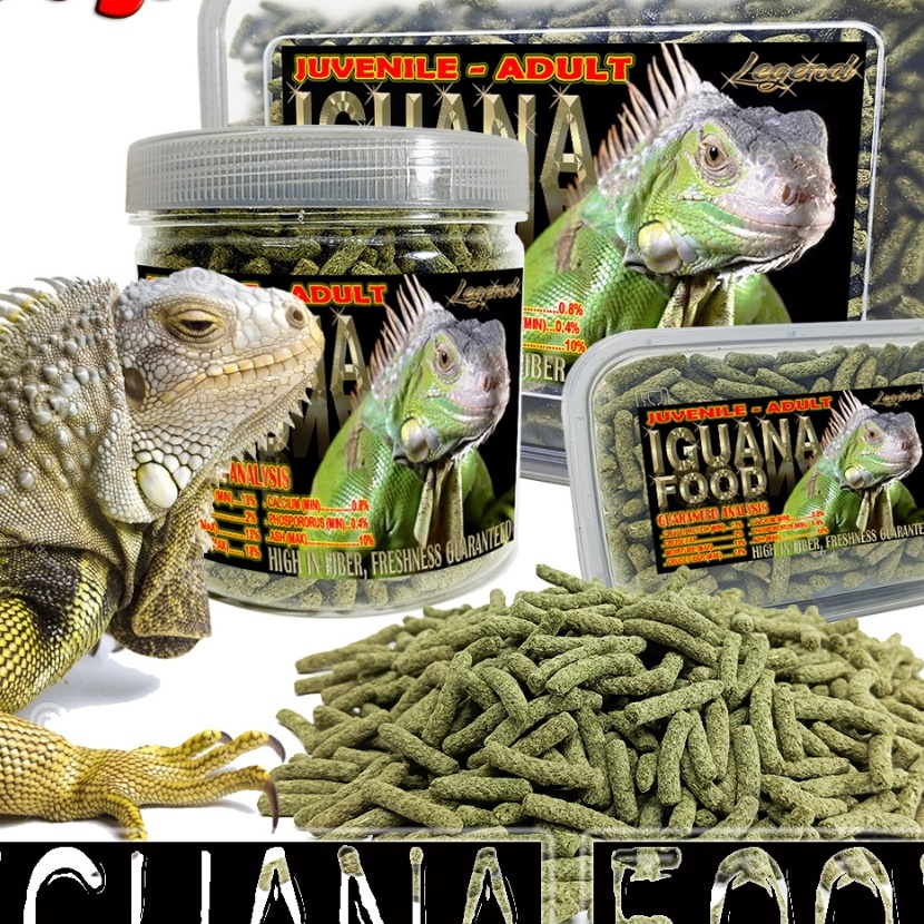 KI3 4GR NATURAL JUVENILEADULT IGUANA FOOD PELET DIET SAYUR RUMPUT MAKANAN IGUANA PELLET PAKAN ALAMI 