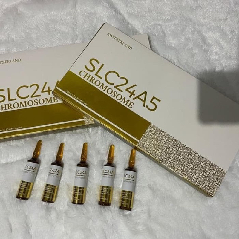 slc24a5 chromosome gold original