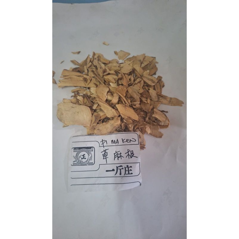 

10 G 50 GR 100 GRAM 蓖麻根 BI MA GEN CASTOR ROOT RICINUS COMMUNIS