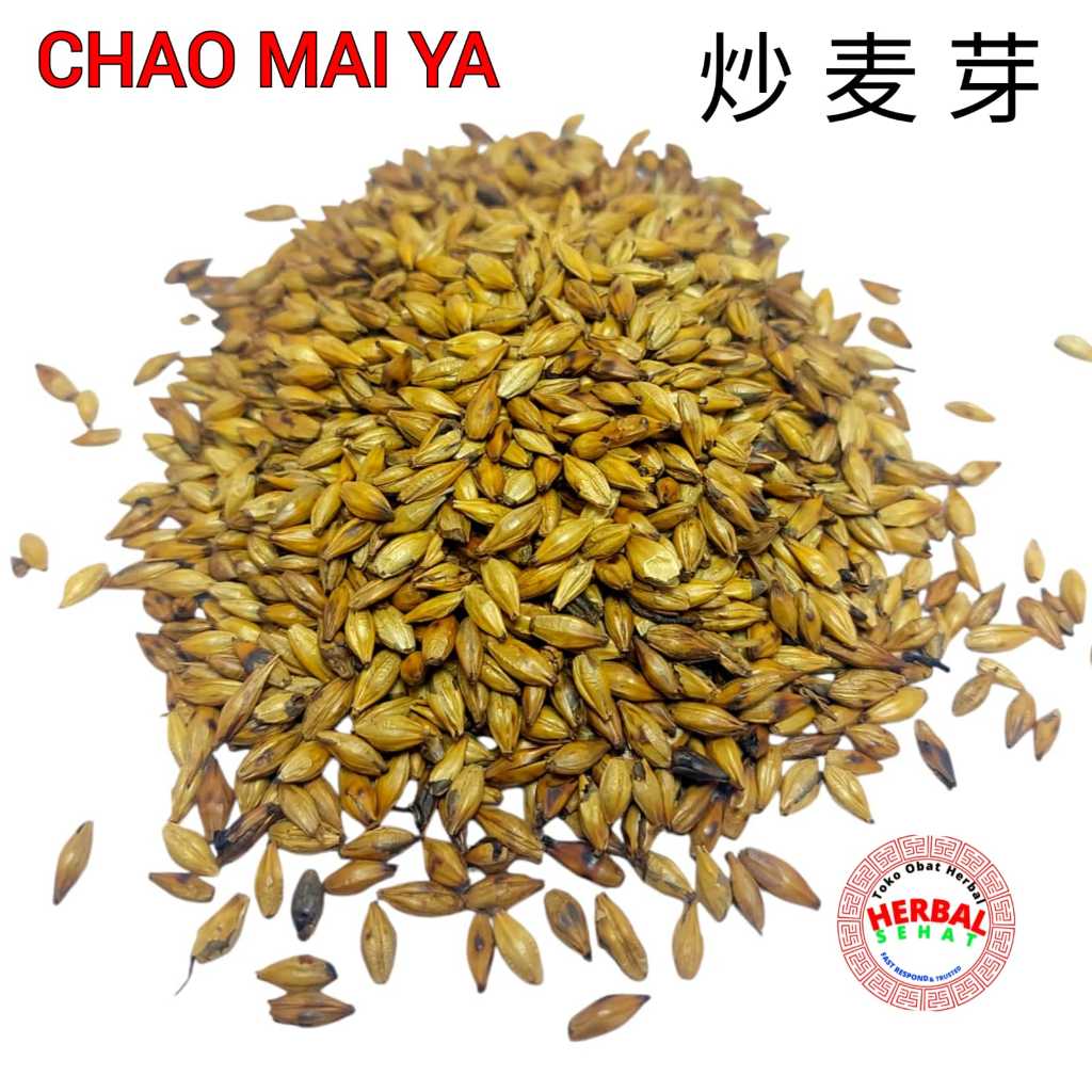 

Chao Mai Ya 50 Gram 炒麥芽 Maiya - Fructus Hordei Germinatus - Chao Mak Nga