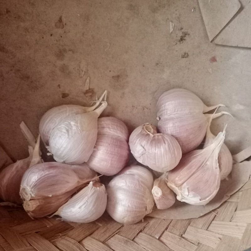 

Bawang Putih Kupas