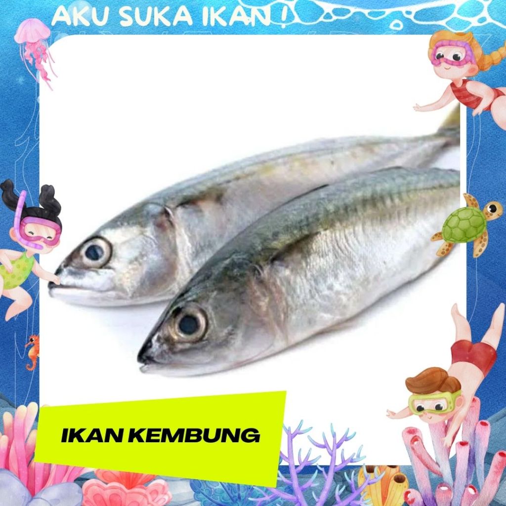 

Ikan Kembung Nelayan / Selat Sunda / Frozen 1 Kg