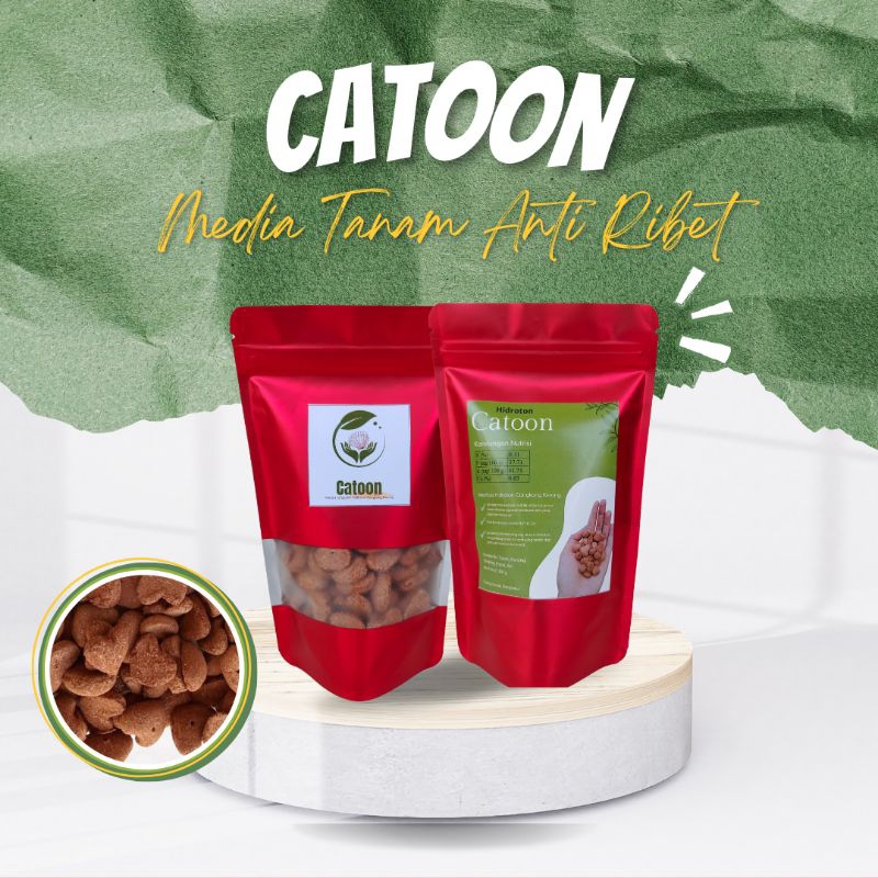 Hidroton Cangkang Kerang (Kerang Simping)