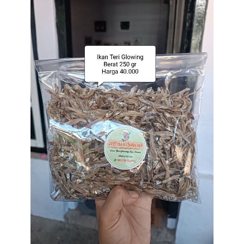 

Ikan Teri Glowing mini