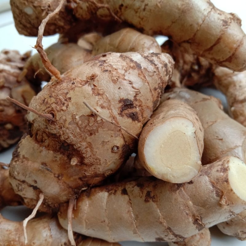 

Temu Putih (Curcuma Zeodaria) fresh 500gr