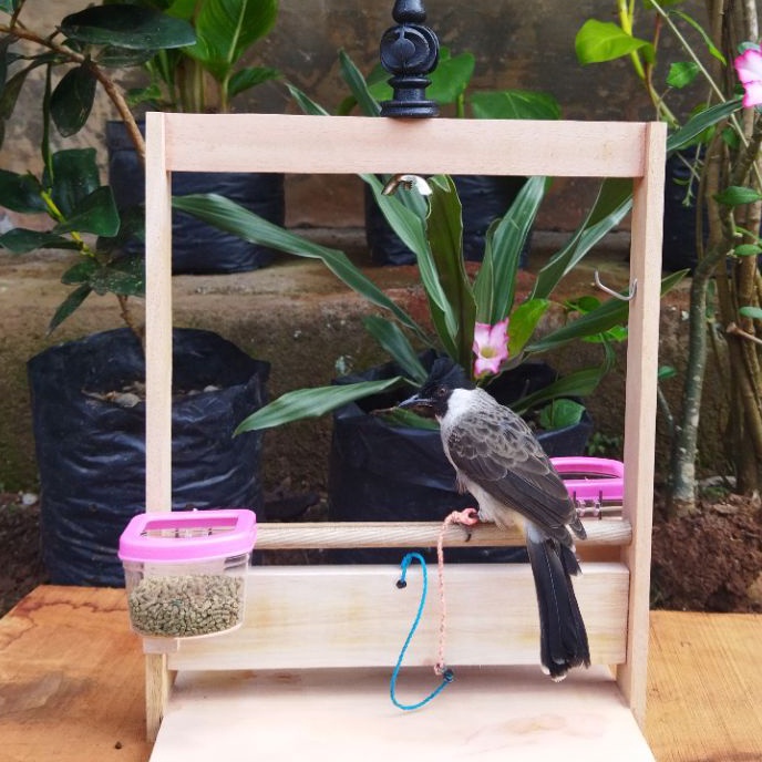 KP8 Sangkar Layang COD Burung Kutilang Trucuk Perkutut Burung Peliharaan Kandang Burung Tali Burung 