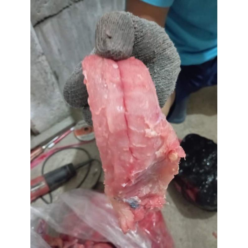 

Daging ikan sapu sapu untuk olahan siomay baso