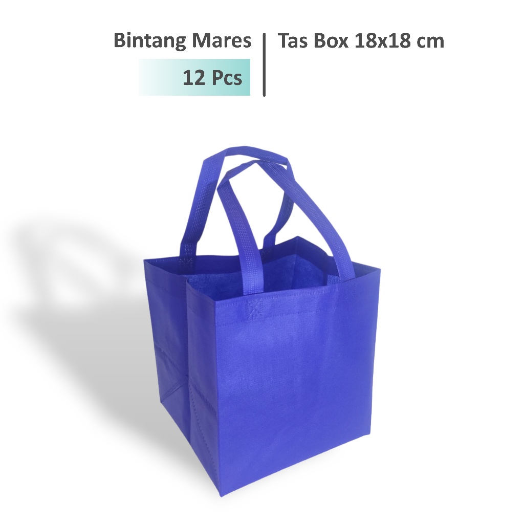 (12 Pcs) Tas Hajatan 18x18 cm / Tas Box Nasi 18x18 / Tas Spunbond
