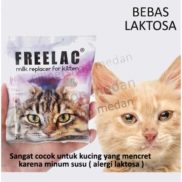 Freelac susu untuk anak kucing susu untuk anak kucing baru lahir susu bebas laktosa susu untuk kucin