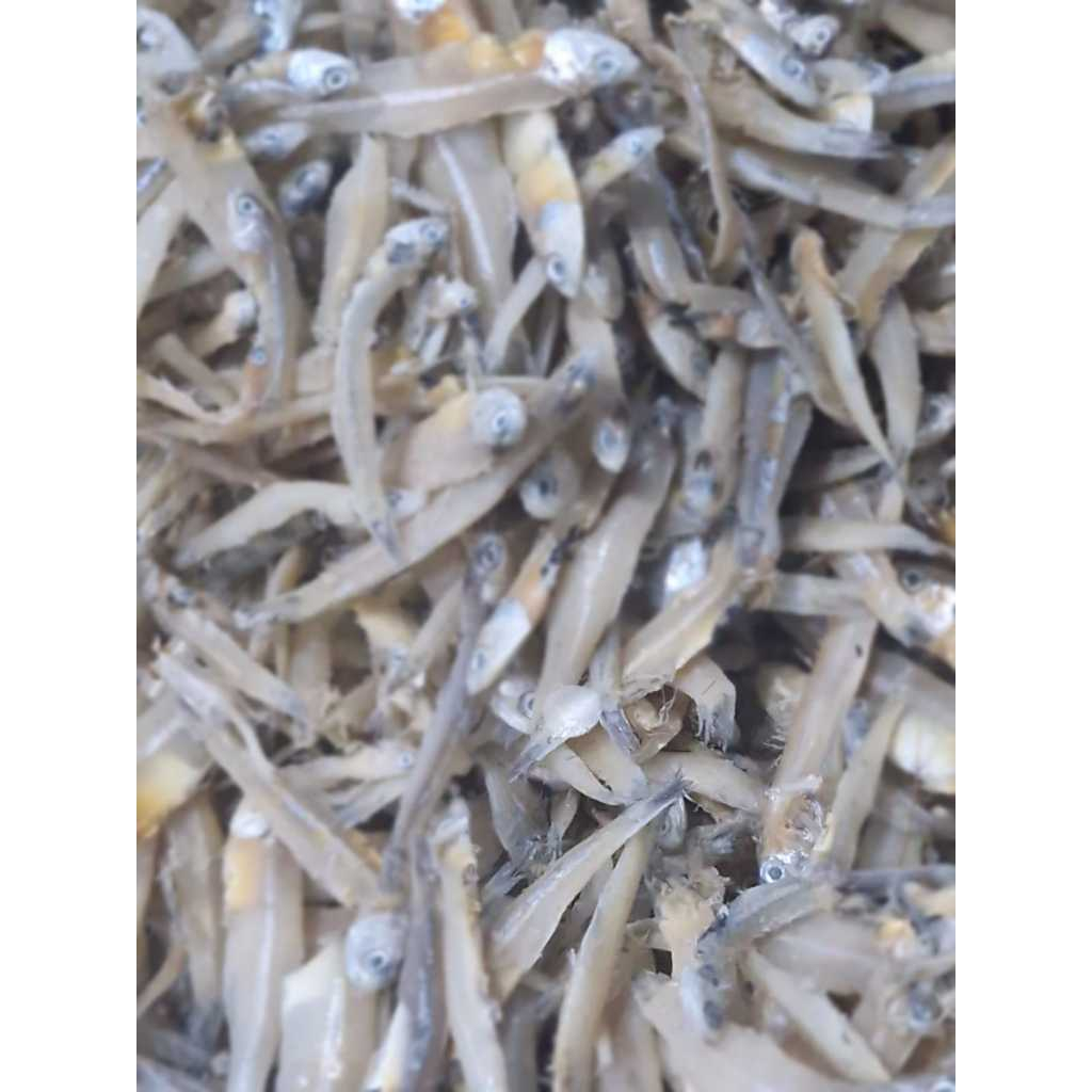 

ikan asin teri asin kering/ teri bulet 1kg best seler