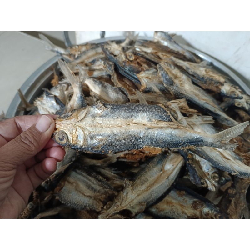 

Ikan Tuing-Tuing Kering, Ikan Terbang asin 1 Kg dan 500 g