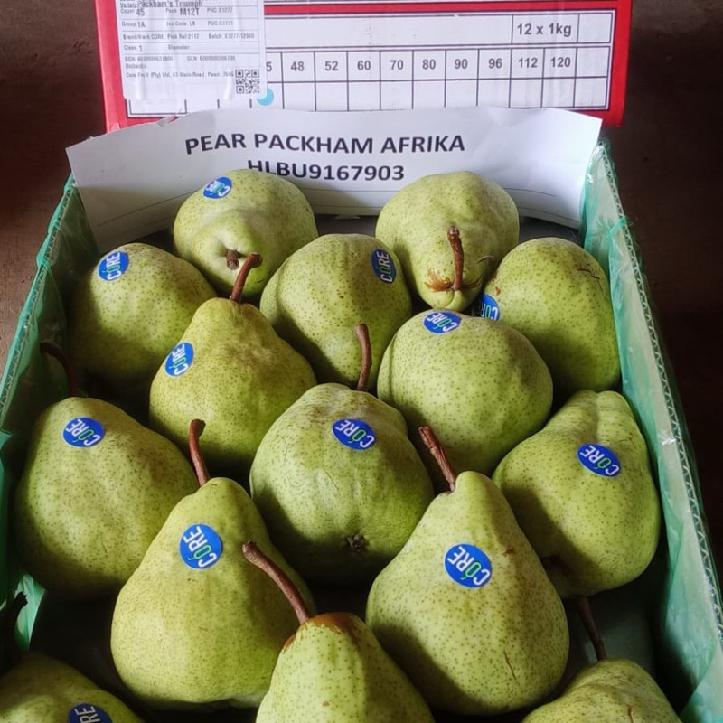 

Pear Packham 12kg