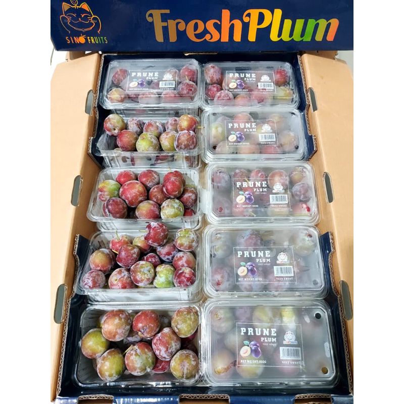 

Sugar plum/1 carton 10 pack