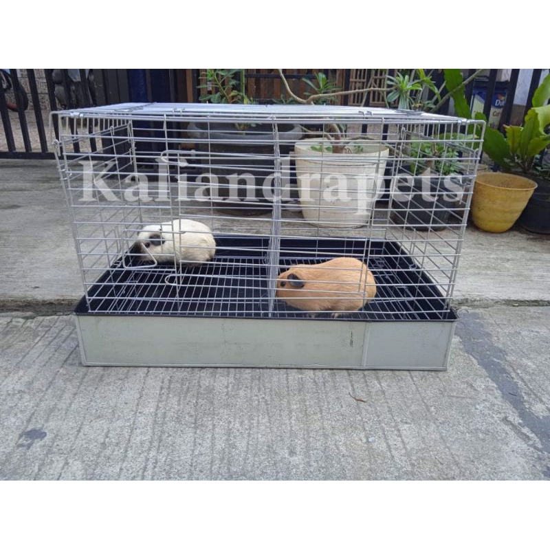 kandang galvanis kucing kelinci guinea pig