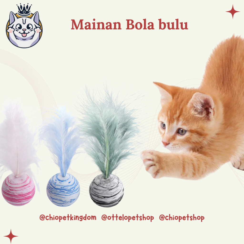 Mainan Kucing Bulu / Bola Bulu Mainan Kucing