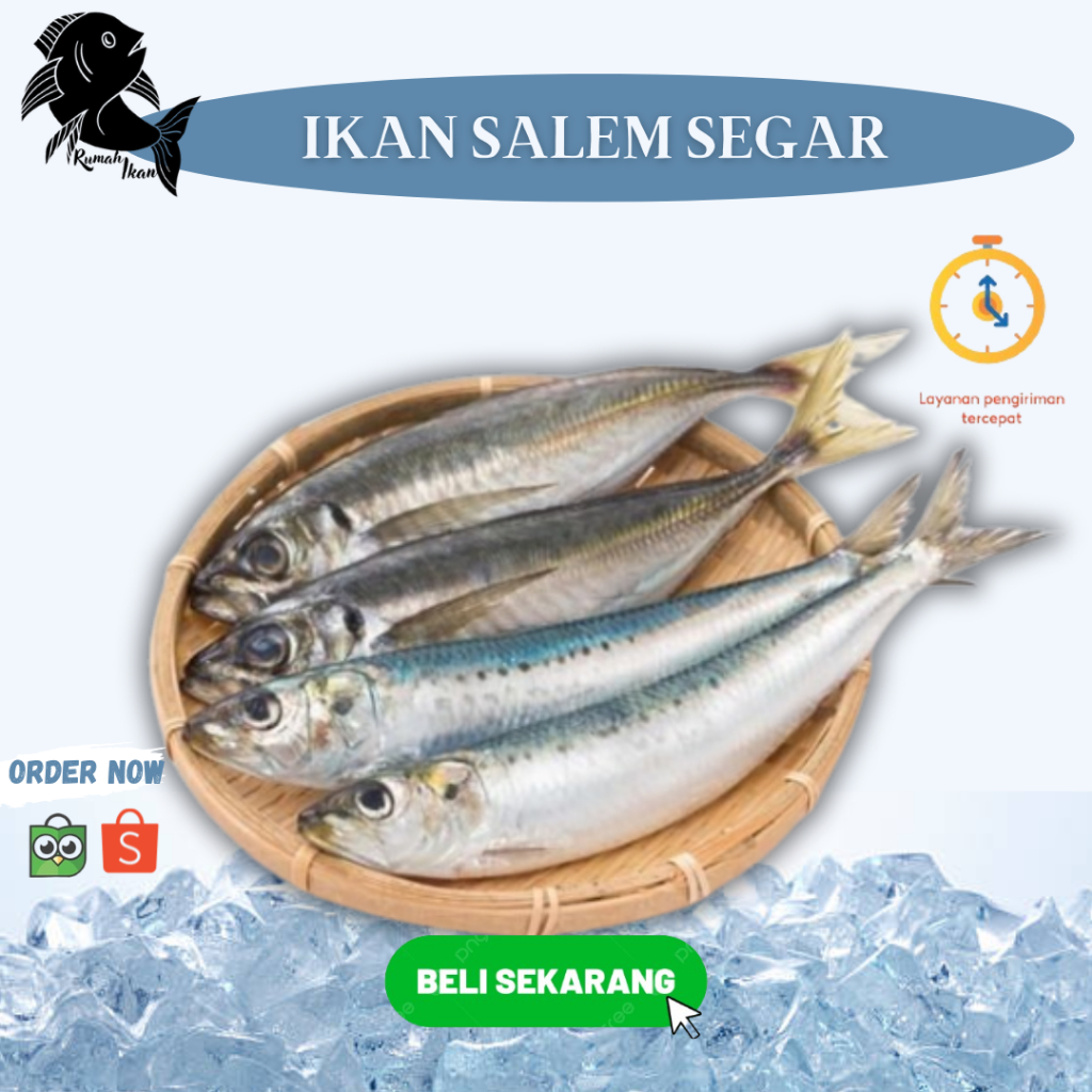 

Ikan Salem Laut Segar 1Kg