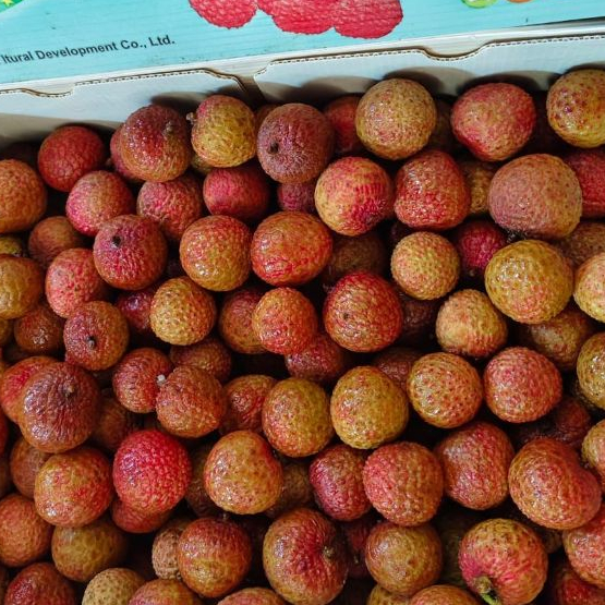 

Buah Leci Lychee Merah Import Segar