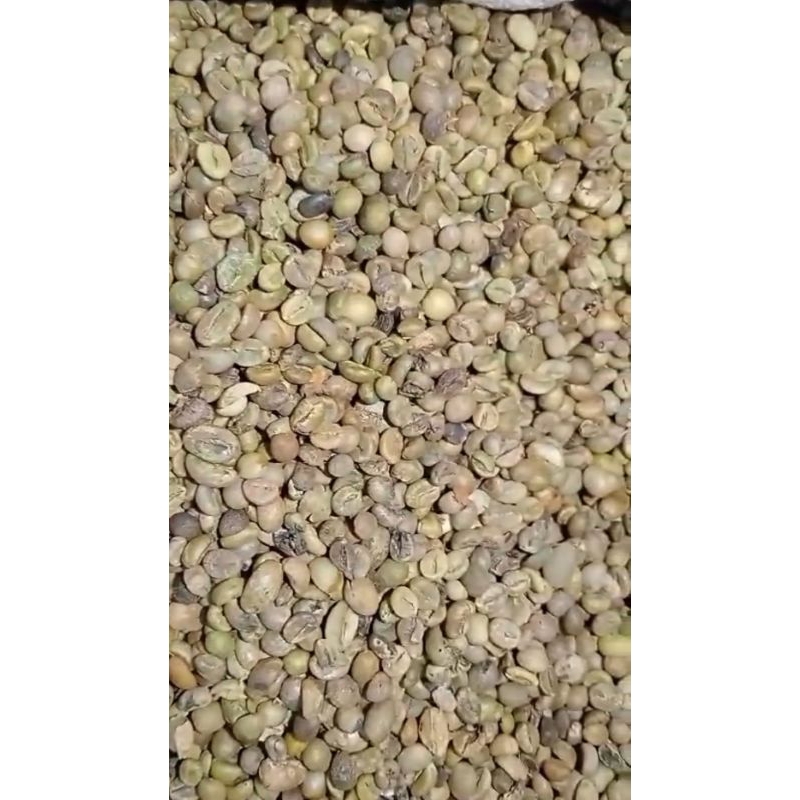 

Sampuran Kopi Biji Robusta Asalan