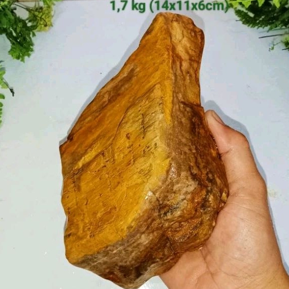 batu galih kelor kristal (485)