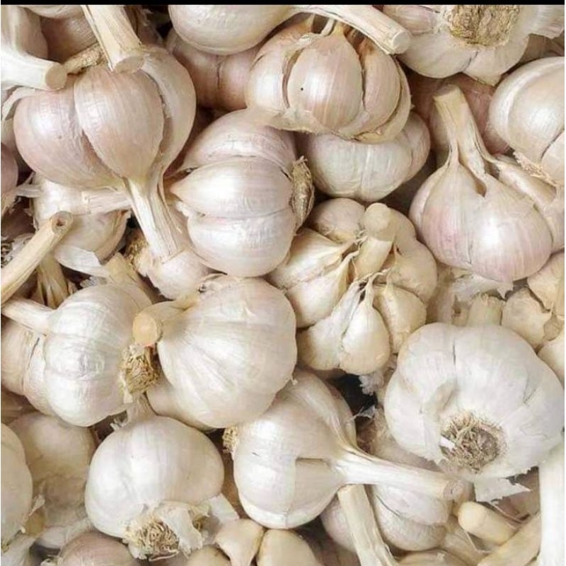 

TERMURAH! BAWANG PUTIH KATING KOTOR 1 KG