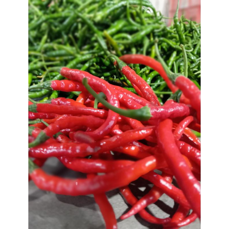 

Cabai Keriting Fresh 250gr