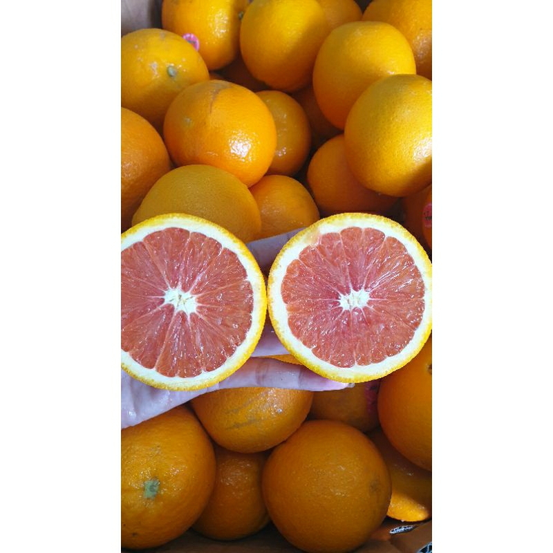 

Realpict! Sunkist Cara Cara