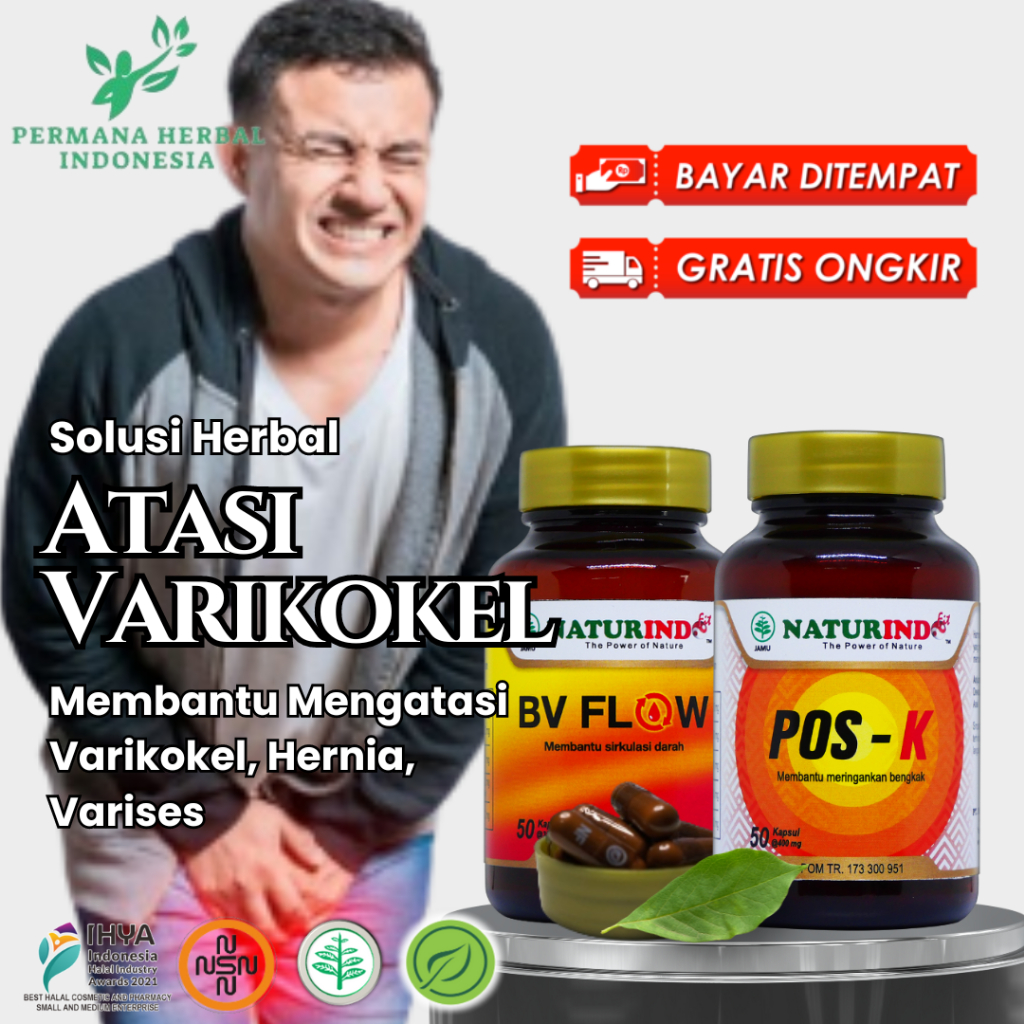 Naturindo Obat Herbal Varikokel Paling Ampuh Atasi Hernia Turun Berok Varises Benjolan Pos-K BV Flow