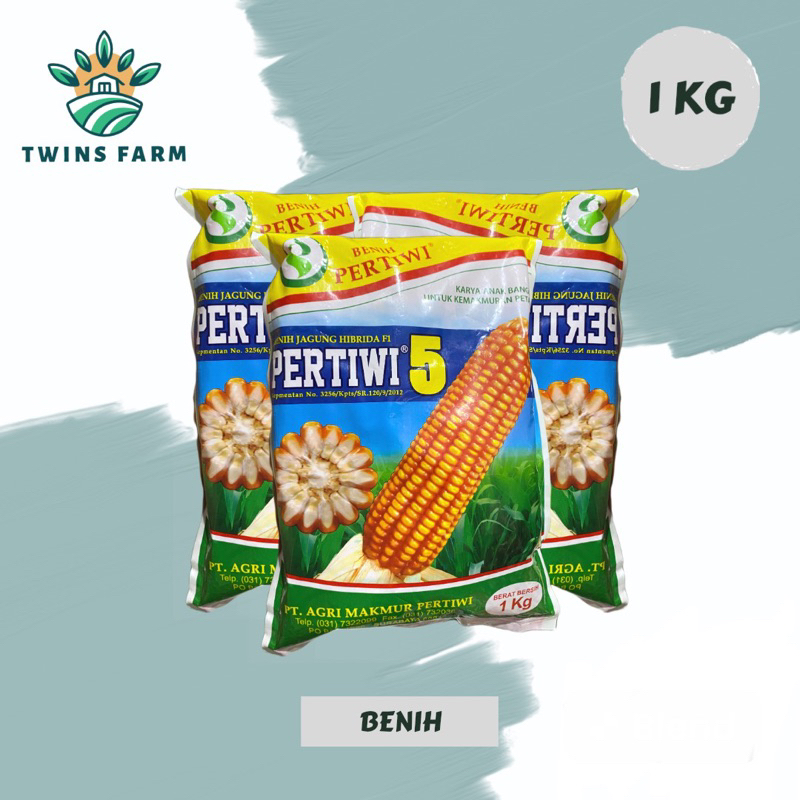 Benih jagung hibrida F1 pertiwi 5 kemasan 1 kg (tahan naungan) by pertiwi