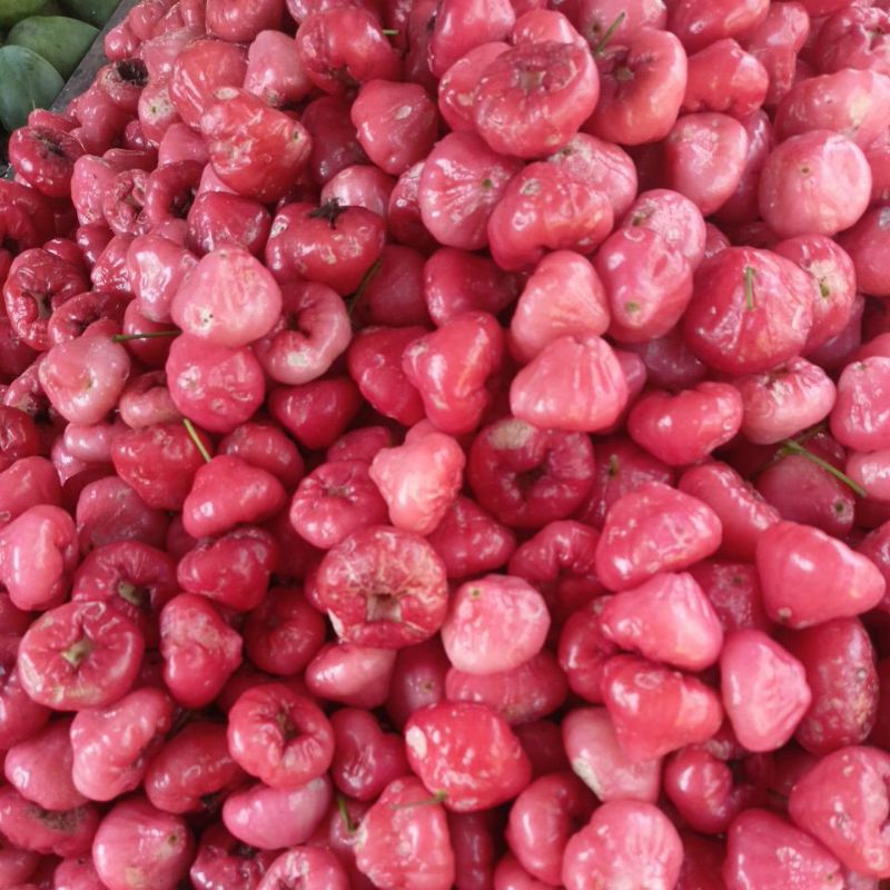 

Jambu Rujak 1kg