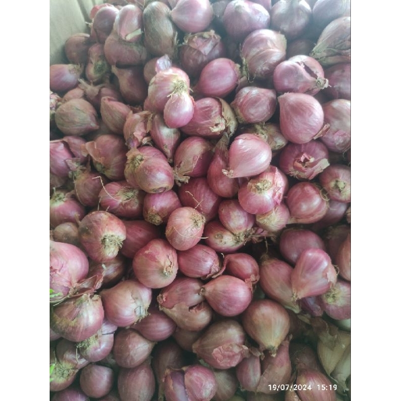 

Bawang Merah 1KG