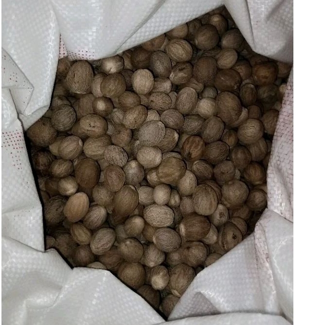 

Biji Pala Bulet 1000gram/1kg