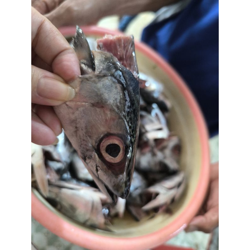 

kepala ikan saba frozen 500 gram