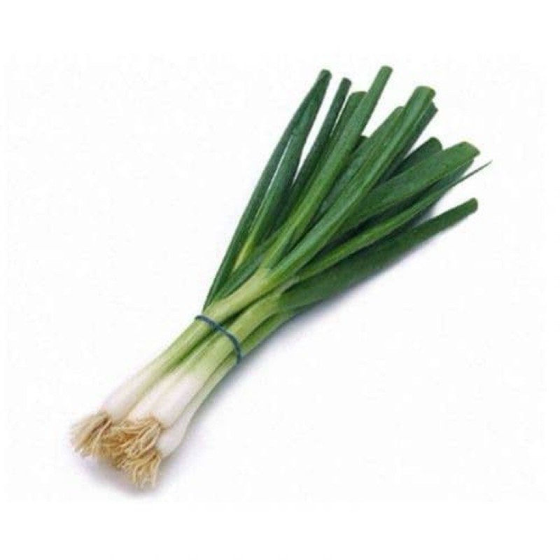 

Daun bawang daun segar