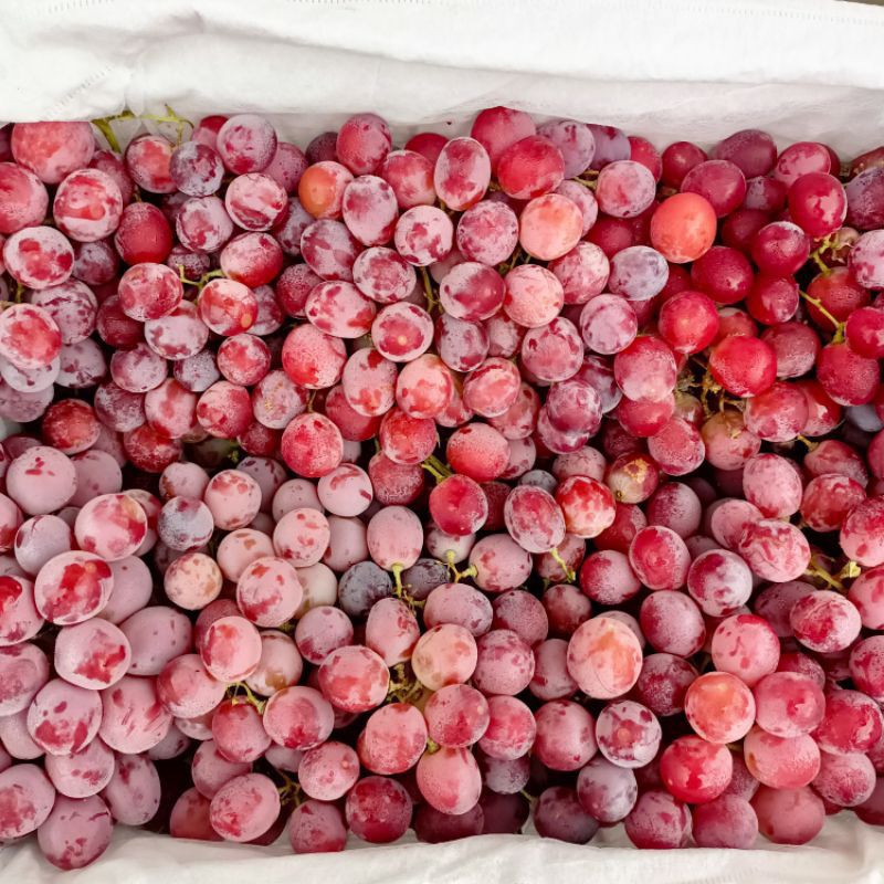 

Anggur red glob 500 gram