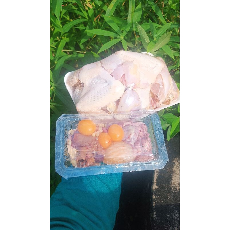 

[SUDAH BERSIH] Ayam Merah Potong Lauk Segar Pontianak