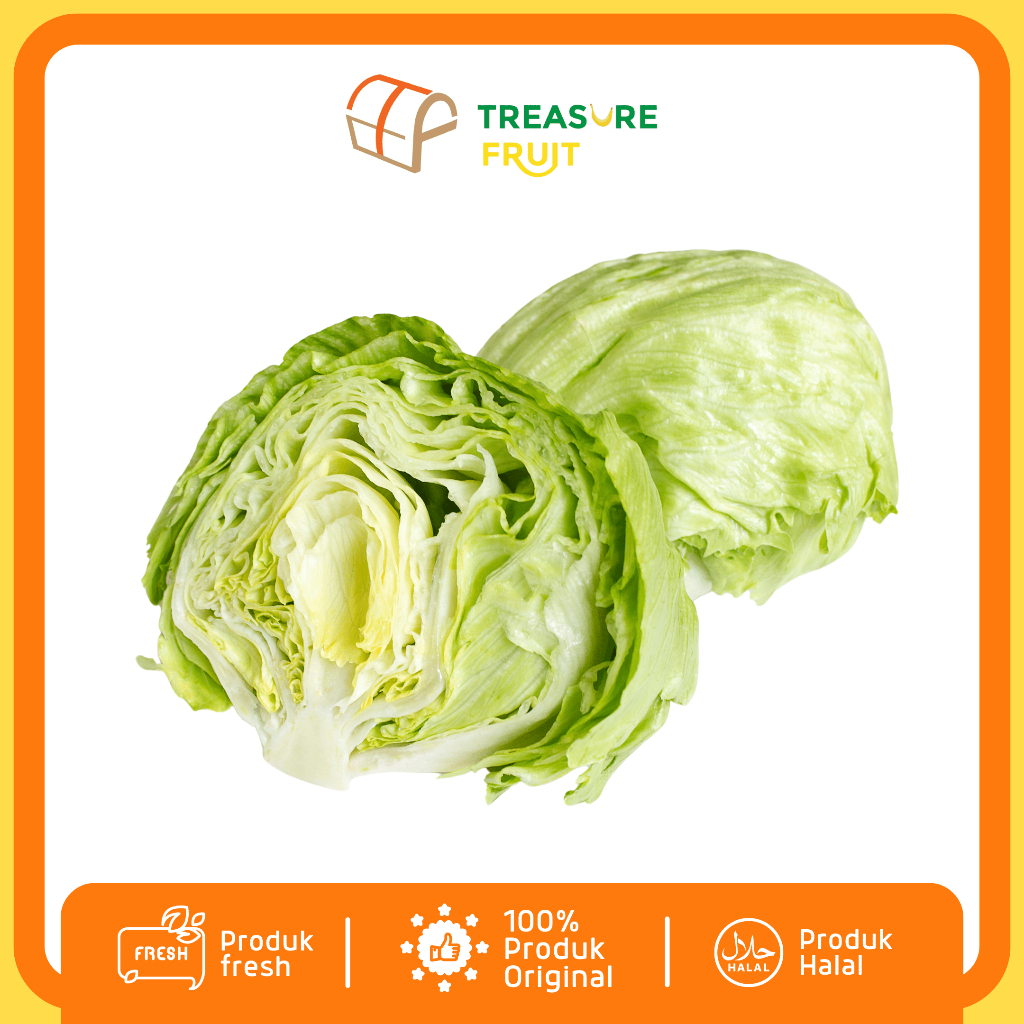 

LETTUCE Fresh 1 Kg I Treasure Fruit - Sayuran Sehat dan Segar