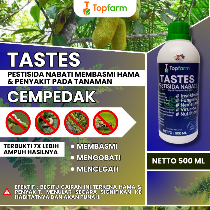 Obat Hama Buah Cempedak / Obat Hama Tanaman Buah Cempedak / Obat Untuk Hama Buah Cempedak / Obat Ham