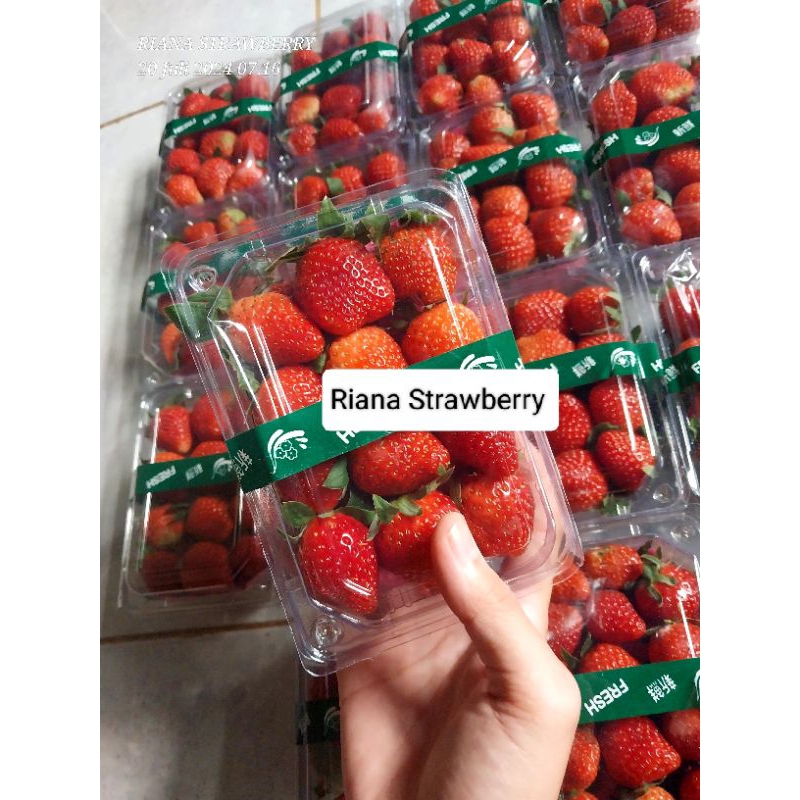 

Strawberry fresh/Buah strawberry segar