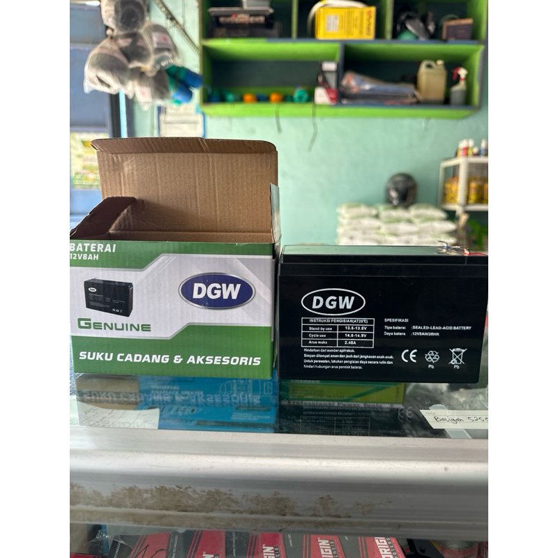 Aki tank semprot elektrik DGW