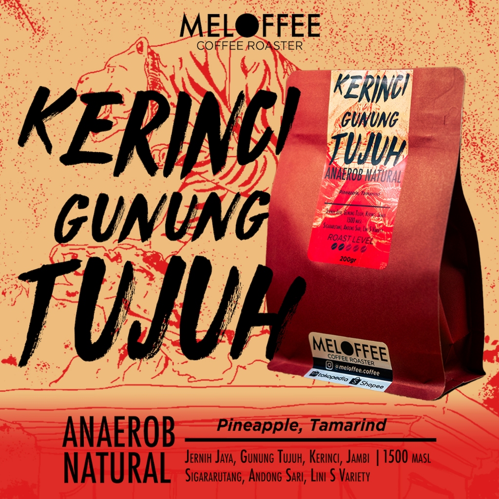 

KERINCI GUNUNG TUJUH Anaerob Natural - Kopi Filter Specialty - MELOFFEE Coffee Roaster