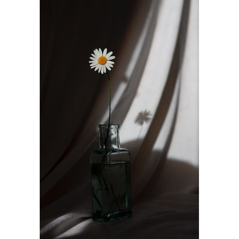 

buku yang salah alamat part 2