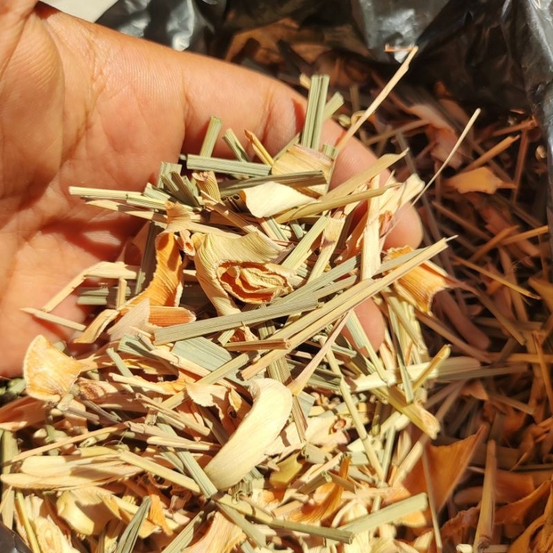 

Herbal Batang Serai Kering - Batang Serai Kering Pilihan